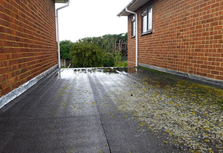 Flat roof Feature Image